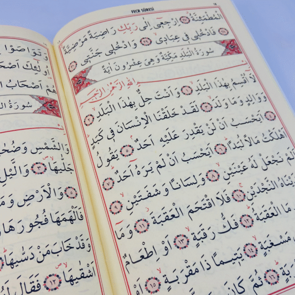 Amme Cüzü - Görsel 2